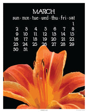 Load image into Gallery viewer, 2025 Abacus Calendar 5 X 7 Flip