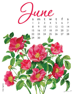 2025 Flowers Calendar 11X14