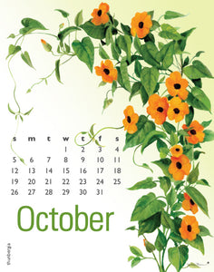 2025 Flowers Calendar 11X14