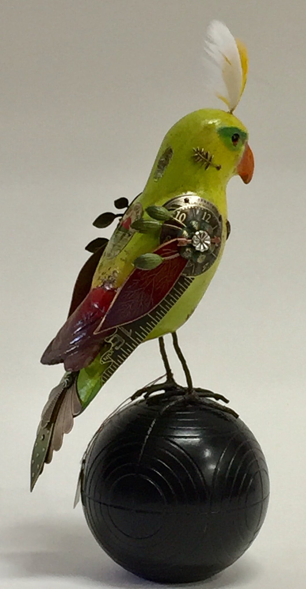 Chartreuse Parrot On Ball